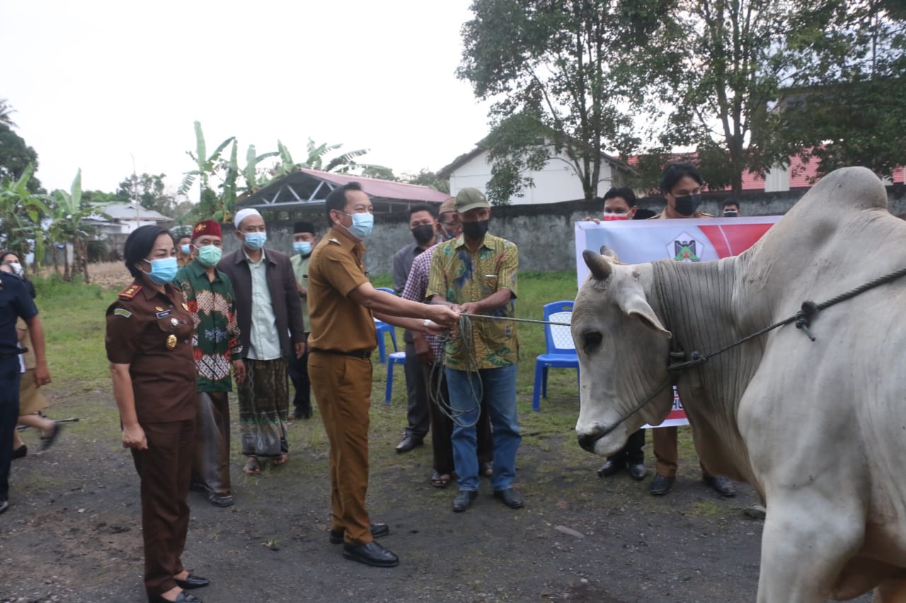 Maknai Idul Adha, Walikota Caroll Senduk Serahkan Hewan Qurban