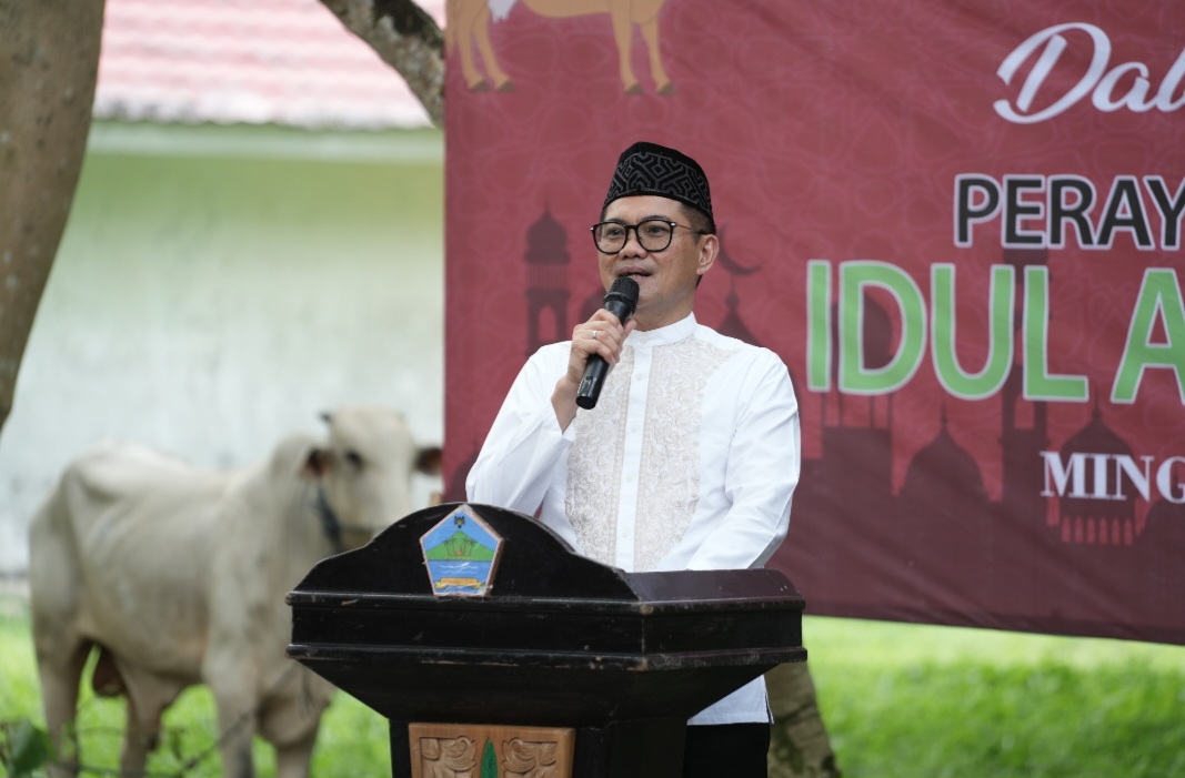 Maknai Idul Adha, Bupati Joune Ganda Serahkan Hewan Qurban 9 Ekor Sapi
