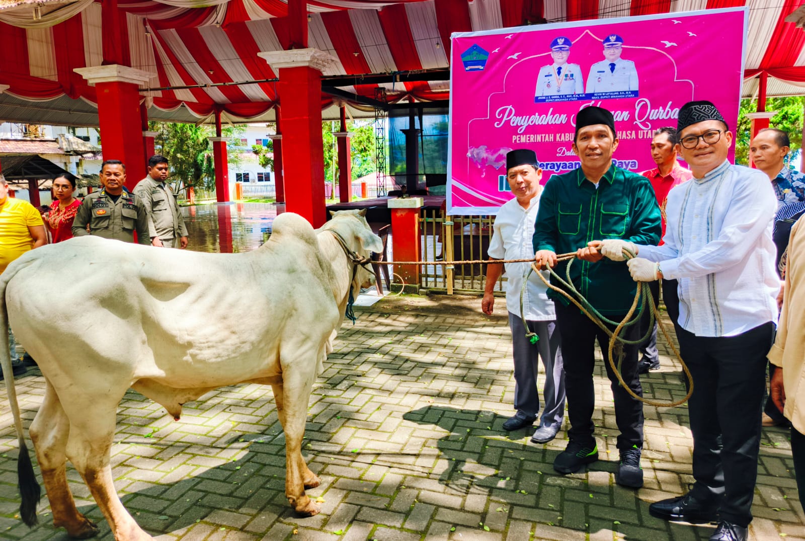 Maknai Idul Adha 1446H, Bupati Joune Ganda Serahkan Hewan Qurban 9 Ekor Sapi