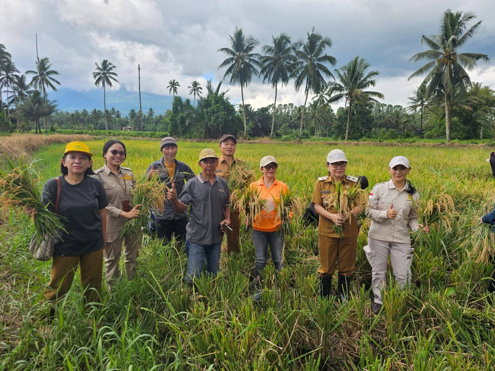 Panen Raya Padi di Minut Tegaskan Komitmen Membangun Pertanian Mandiri dan Berkelanjutan