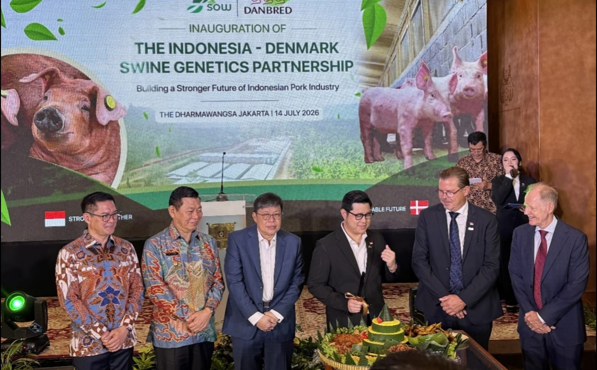 Bupati Joune Ganda Gaet Investasi Rp.20 Miliar, Bibit Babi Unggul Denmark Masuk Likupang